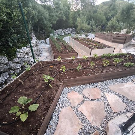 Villa Ilir Neum Exterior foto