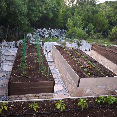 Villa Ilir Neum Exterior foto